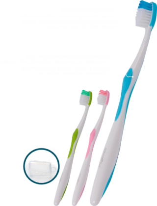Escovas Dental Life
